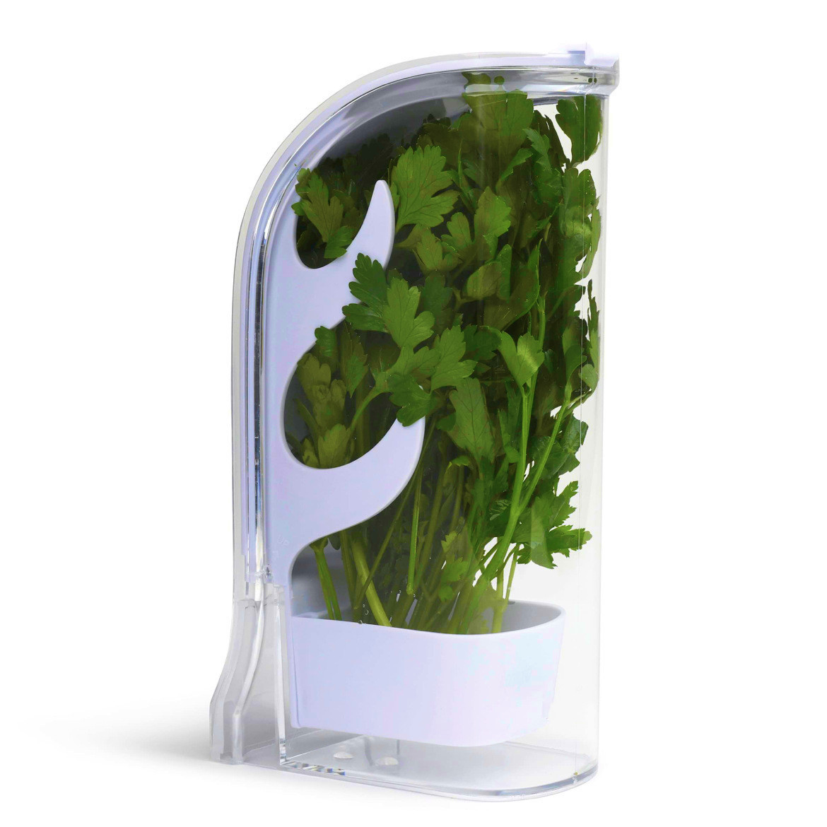 Kitchen Gadgets Modern - Bac à légumes pour herbes, récipient