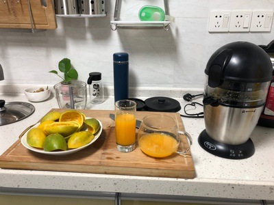 Presse-agrumes électrique – Ex - Citrus Lemon Squeezer avis et prix